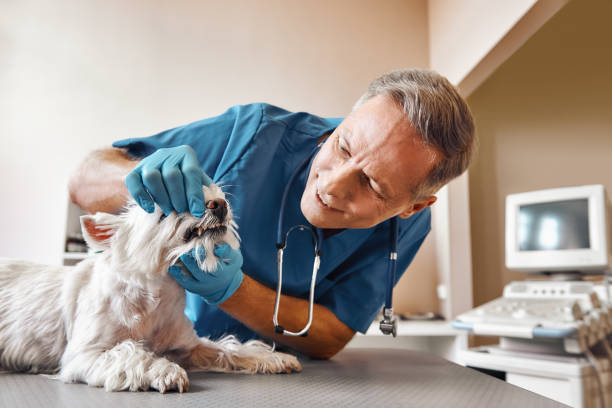 Best Weekend Emergency Dentist in Sansom Park, TX